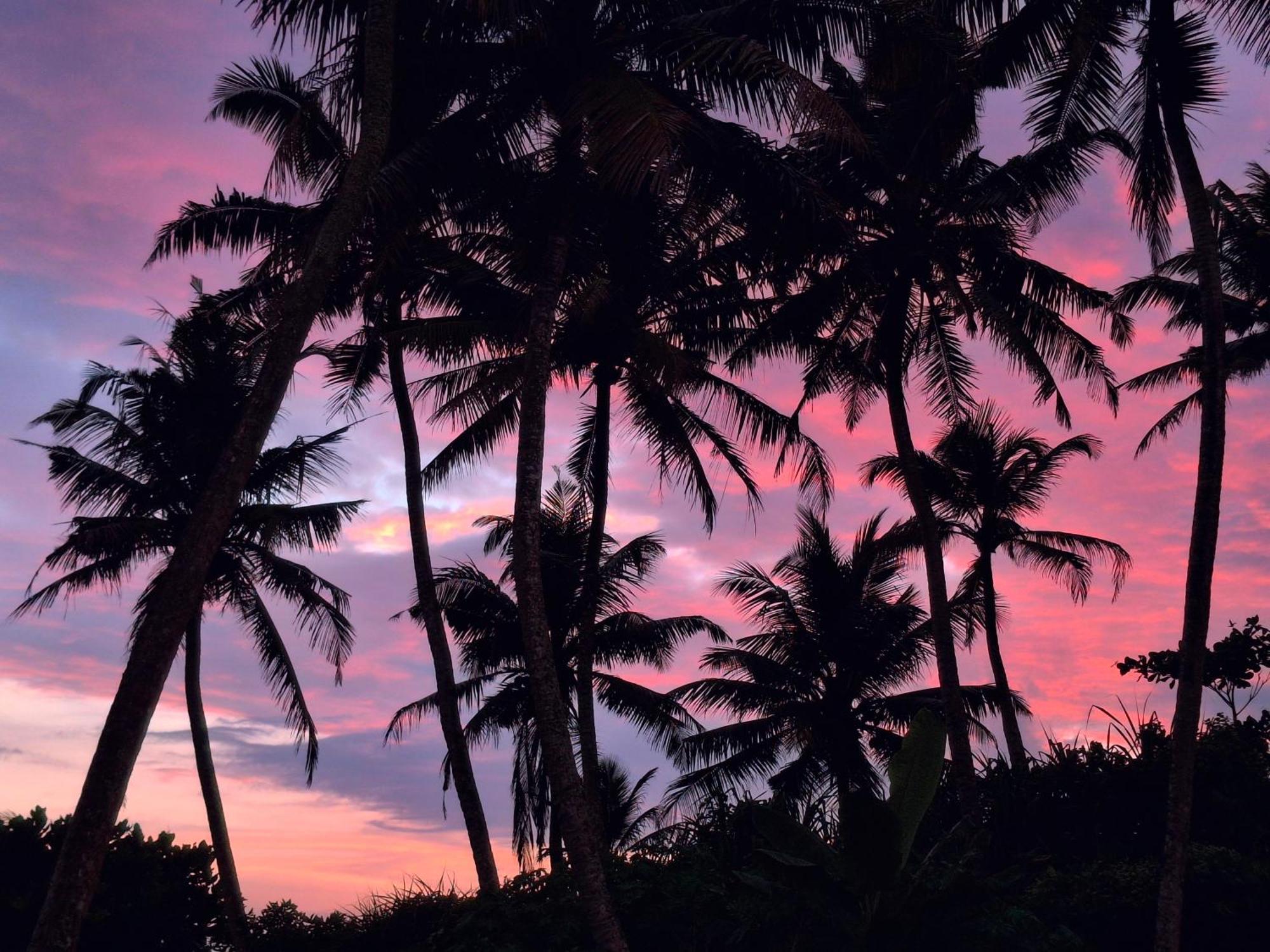 Chill House Make A Good Story With Infinite Ocean Surf And Stay Weligama Exterior photo